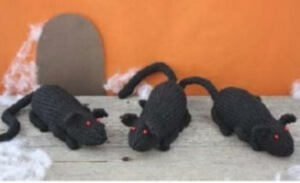 knit rat