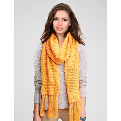 Free crochet v-stitch scarf