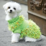 Fancy Free Dog Sweater Knit Pattern