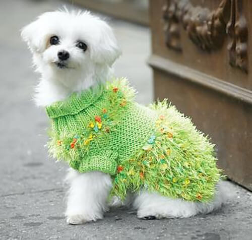 Fancy Free Dog Sweater Knit Pattern