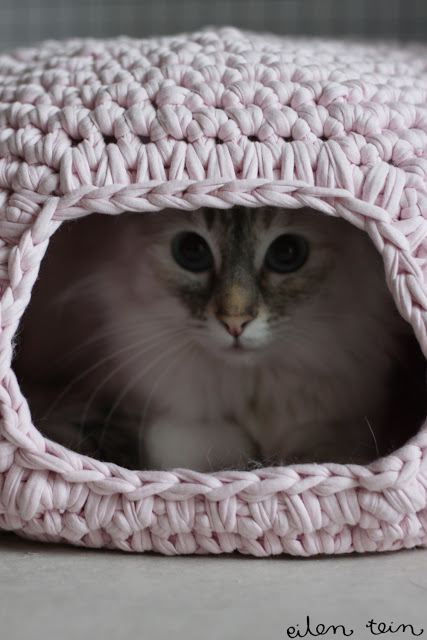 Crochet a Snuggly Cat Pod